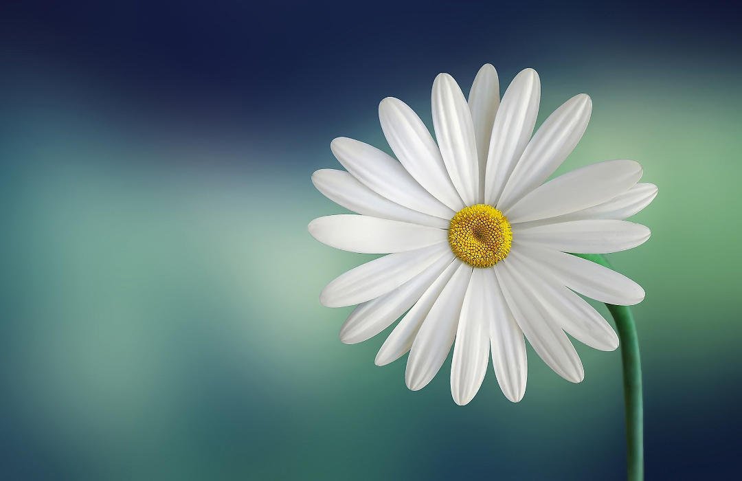 1080x700 magriet