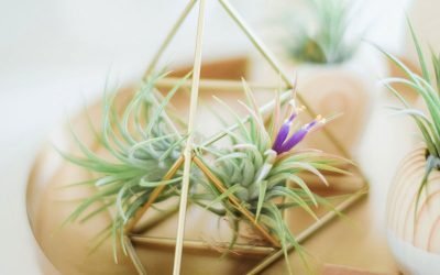 Blog 3